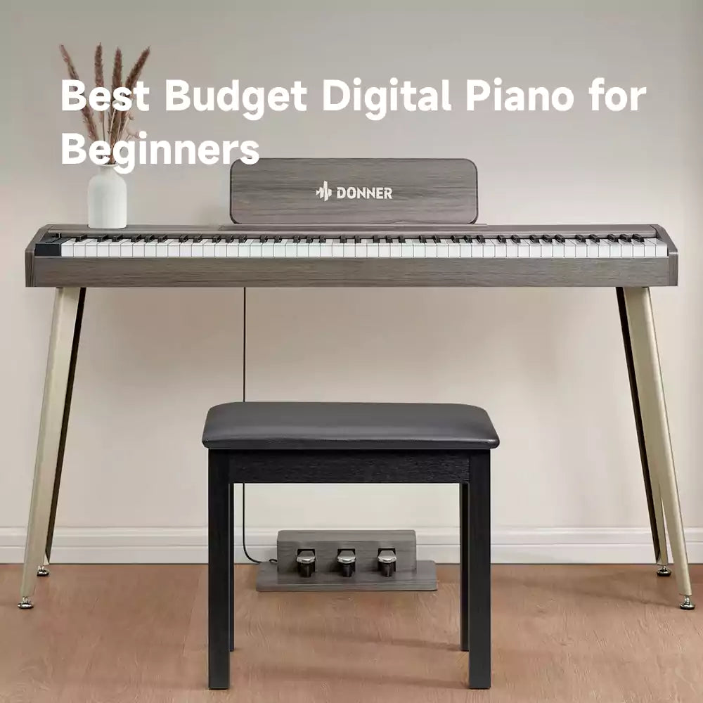 Best Budget Digital Piano for Beginners