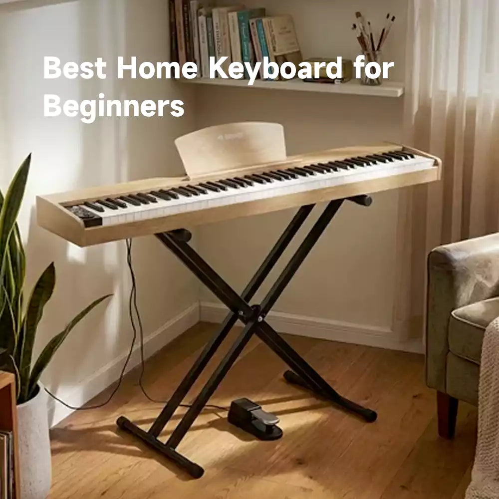 Best Home Keyboard for Beginners