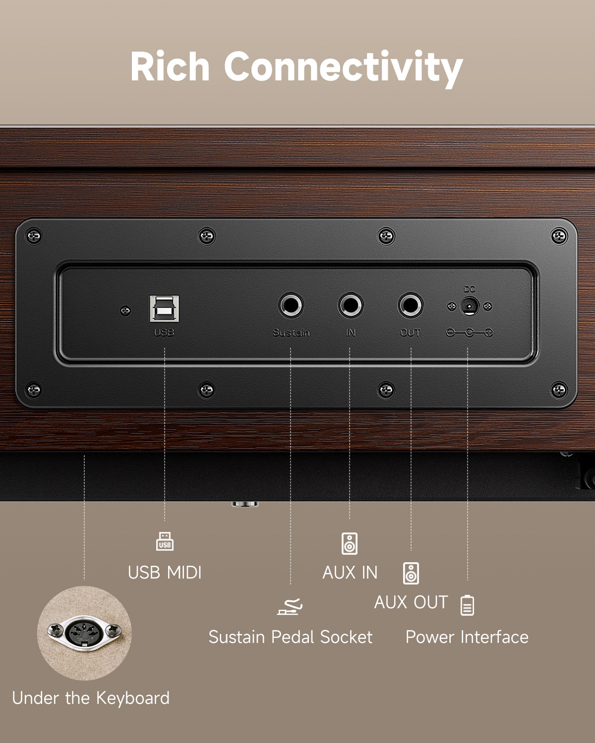 Donner OURA™ R300 88-key home digital piano Light Wood/Walnut-Walnut##