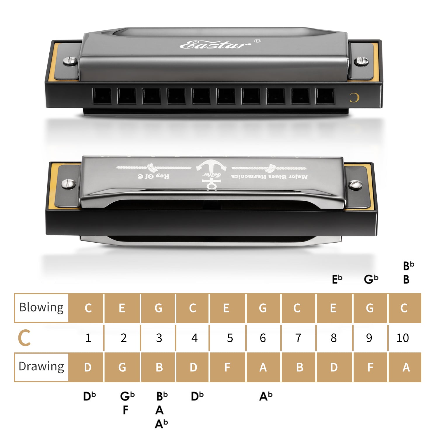 Eastar Major Advanced 10-Hole C Blues Harmonica Black
