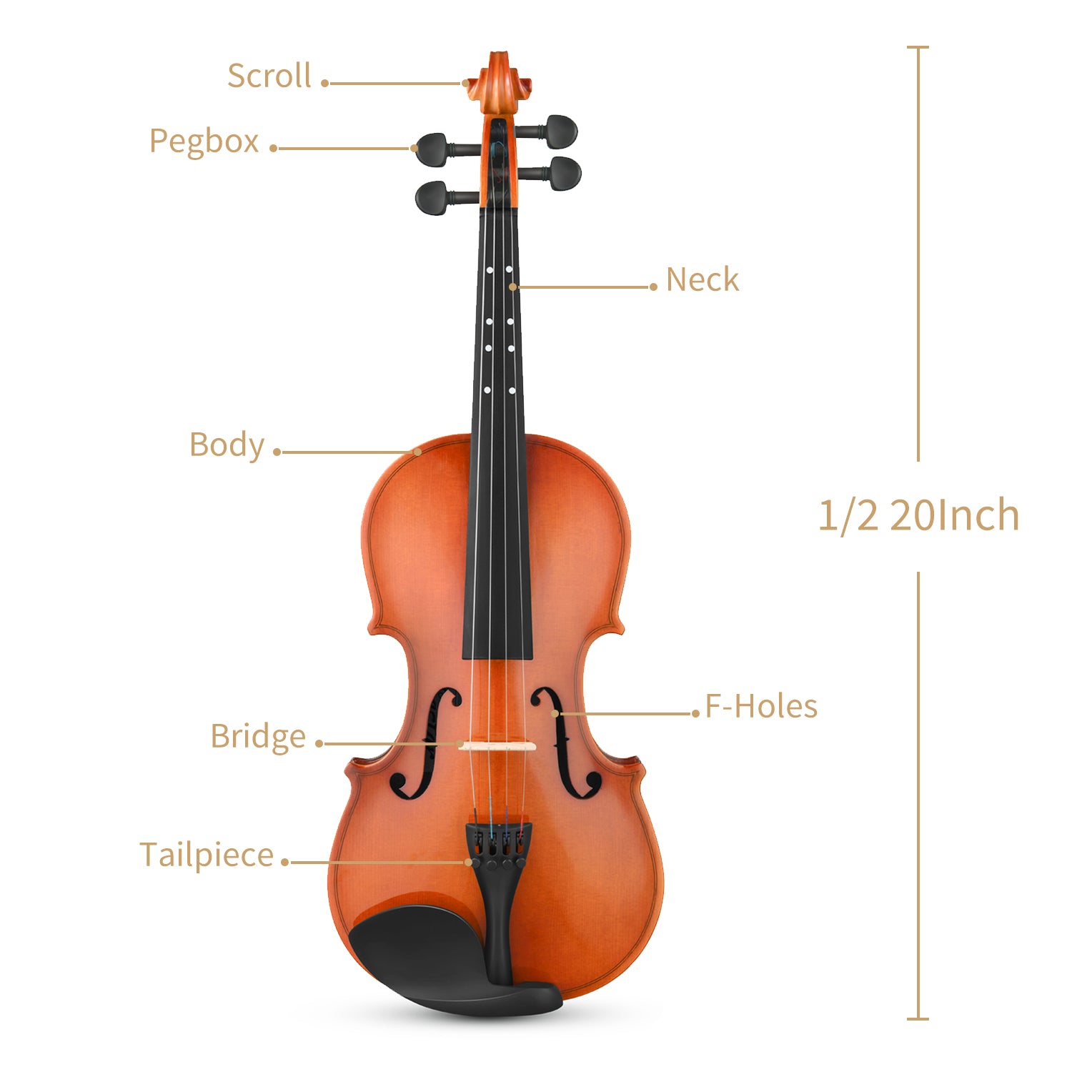 Eastar EVA-2 Violin Set for Beginners with Hard Case/Rosin/Shoulder Rest/Bow/Extra Strings 1/4,1/2,3/4,4/4-1/2##