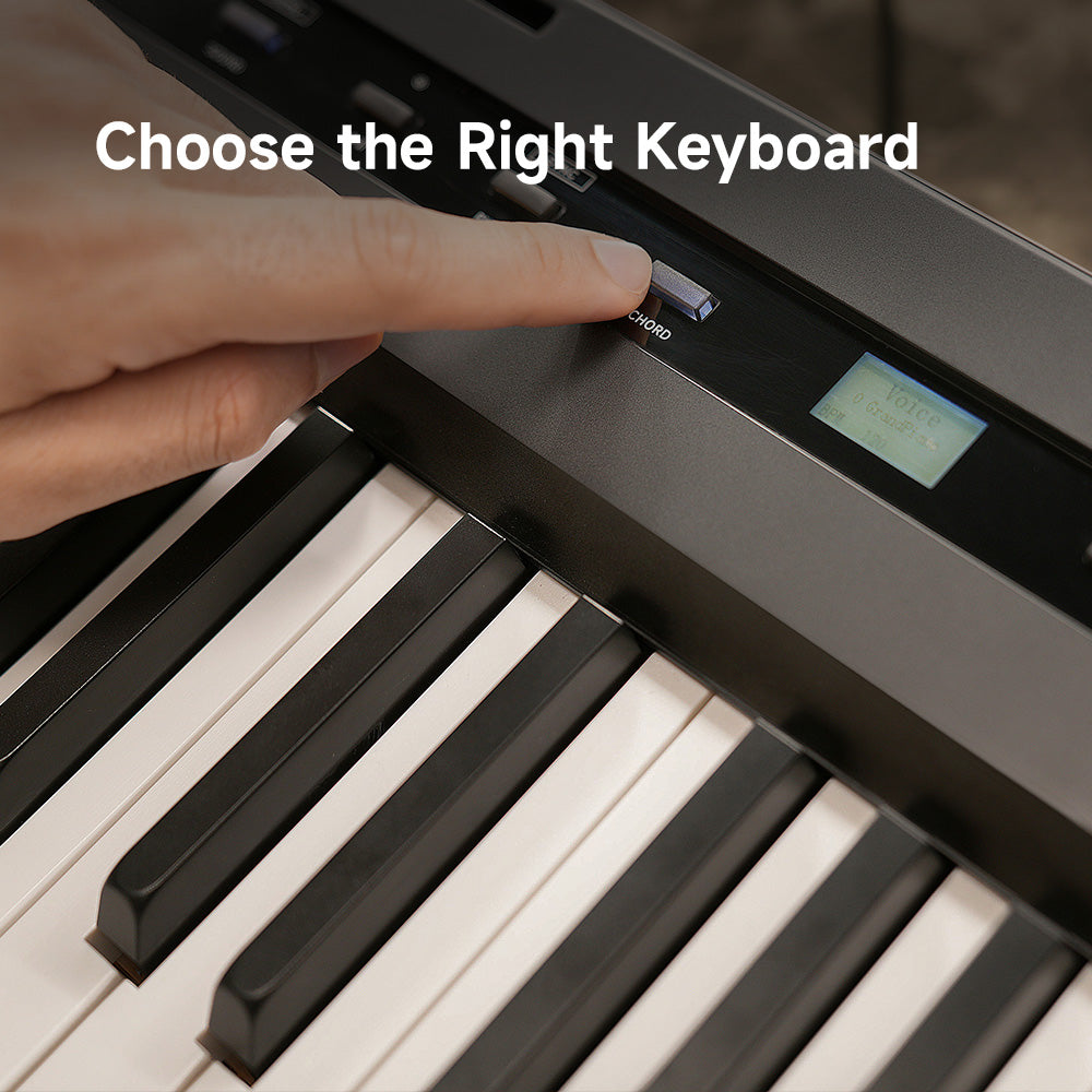 Keyboard Instrument Simple Understanding Differenet Keyboard Instruments