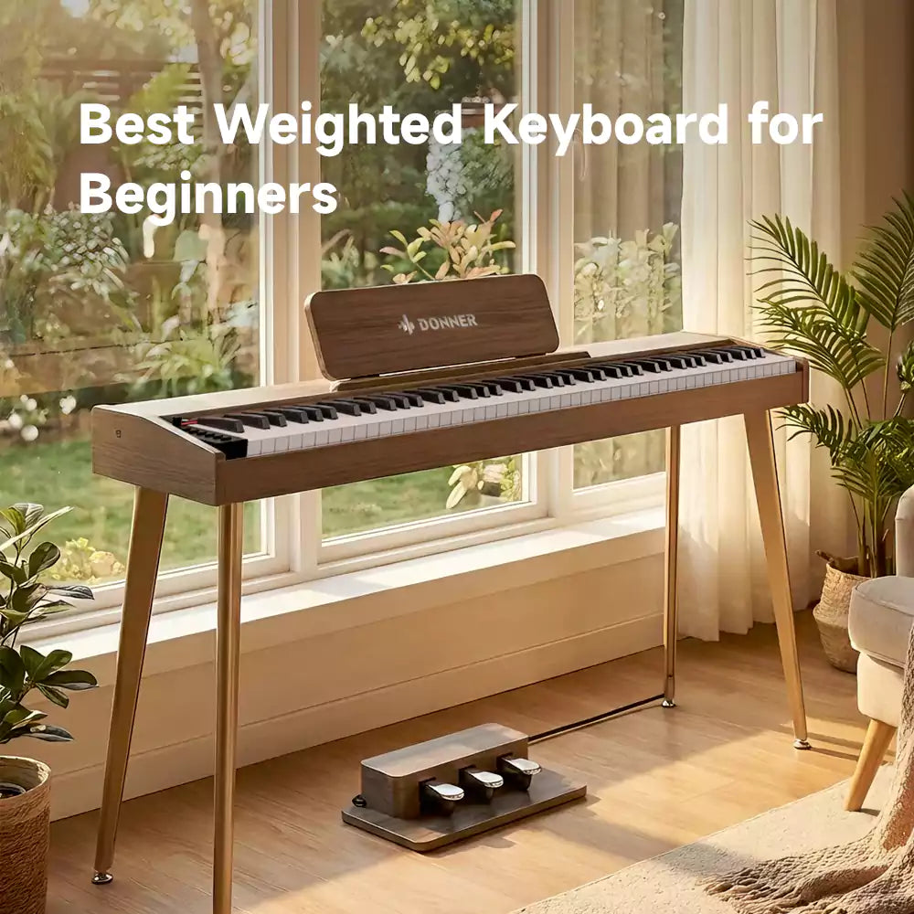 Best Weighted Keyboard for Beginners