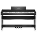 DDP-200PRO Digital Piano Black