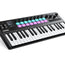 Donner Starrykey-37 Play MIDI Controller