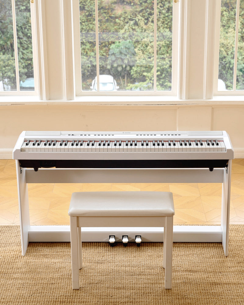 Donner DEP-20 88 Key Weighted Digital Piano with Furniture Stand & 3-Pedal