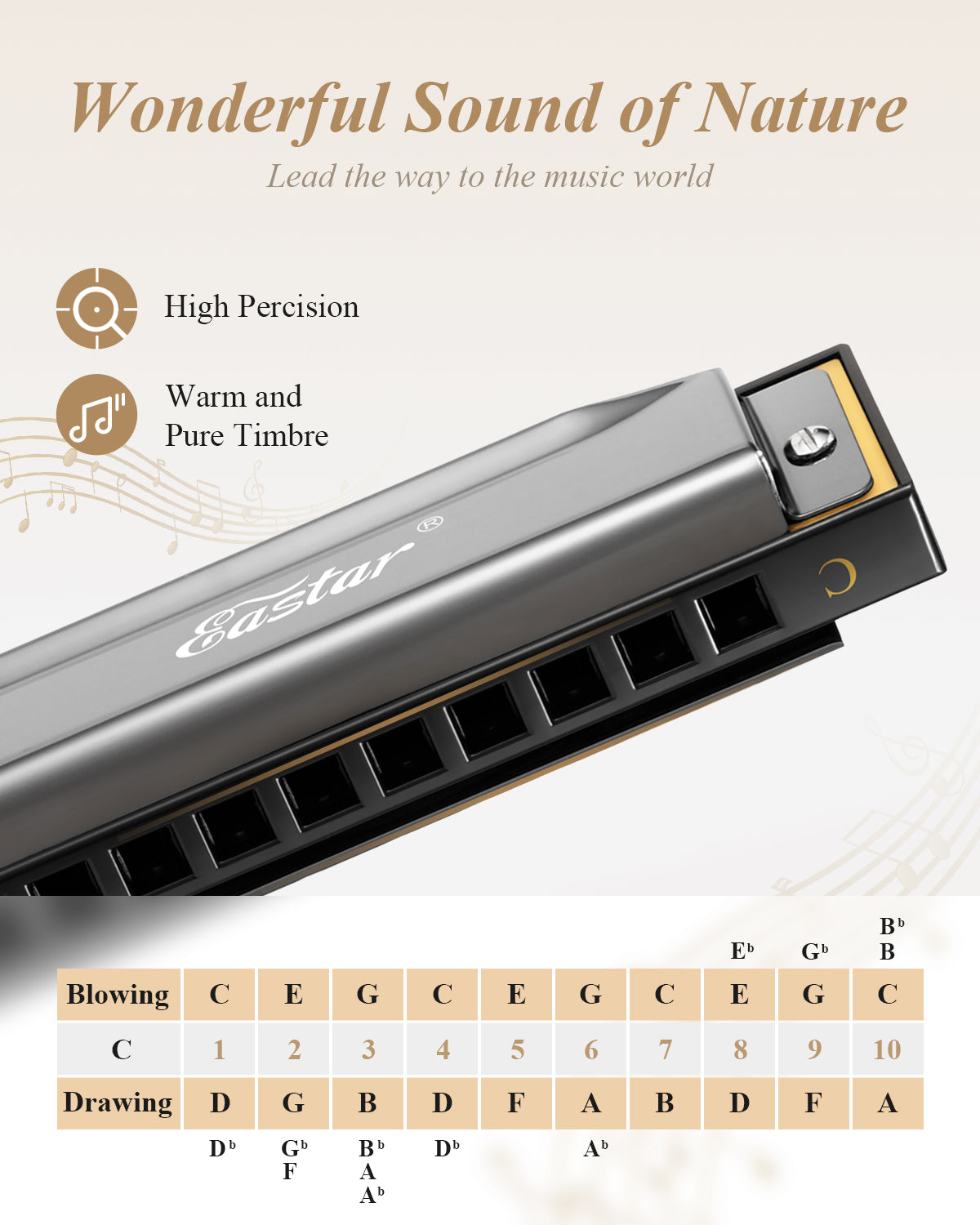 Eastar Major Advanced 10-Hole C Blues Harmonica Black