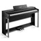 DDP-200PRO Digital Piano Black