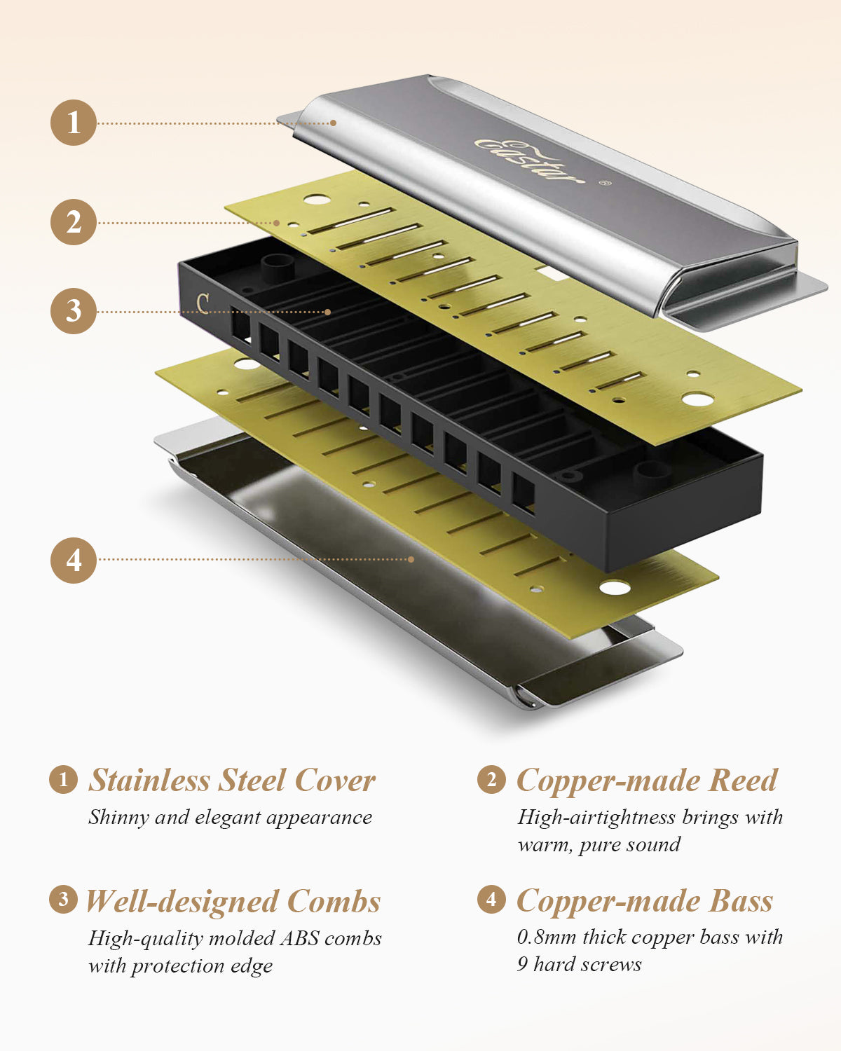 Eastar Major Advanced 10-Hole C Blues Harmonica Black