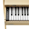 【Pre-Sale】Donner OURA™ R300 88-key home digital piano Light Wood/Walnut【Feb.23th in stock】