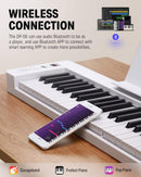 Donner DP-06 61 Keys Semi-weighted Portable Keyboard with Bluetooth for Beginner