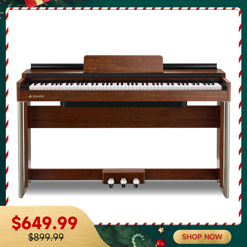 Donner DDP-200 Wooden Dynamic Hammer Action 88 Key Weighted Upright Digital Piano