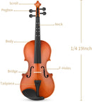 Eastar EVA-2 Violin Set for Beginners with Hard Case/Rosin/Shoulder Rest/Bow/Extra Strings 1/4,1/2,3/4,4/4