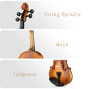 Eastar 4/4 Violin Set Full Size Fiddle Solidwood for Adults with Hard Case, Shoulder Rest, Rosin, Two Bows, Clip-on Tuner and Extra Strings，EVA-330，Two Bows/Black