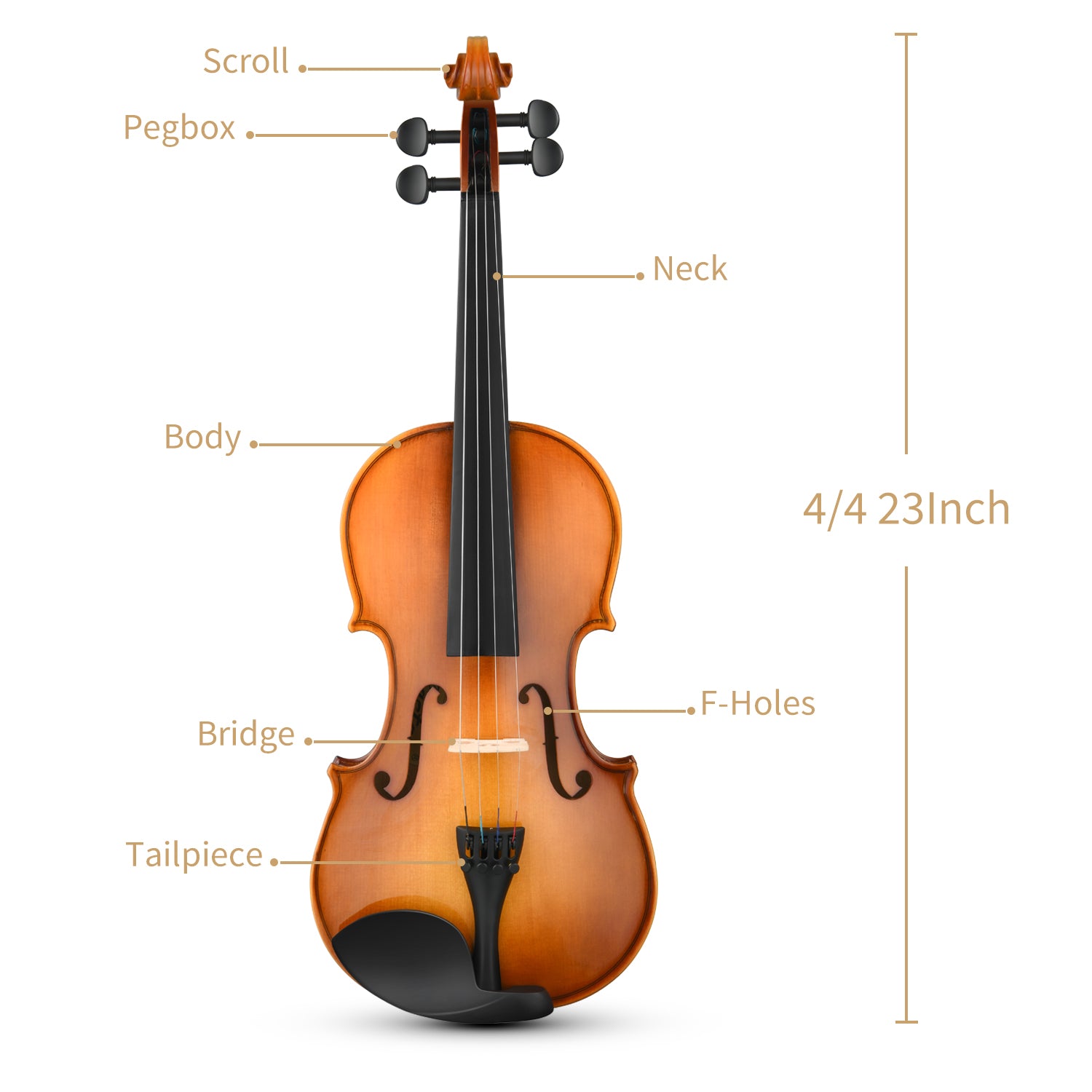 Eastar 4/4 Violin Set Full Size Fiddle Solidwood for Adults with Hard Case, Shoulder Rest, Rosin, Two Bows, Clip-on Tuner and Extra Strings，EVA-330，Two Bows/Black-4/4 Two Bows##