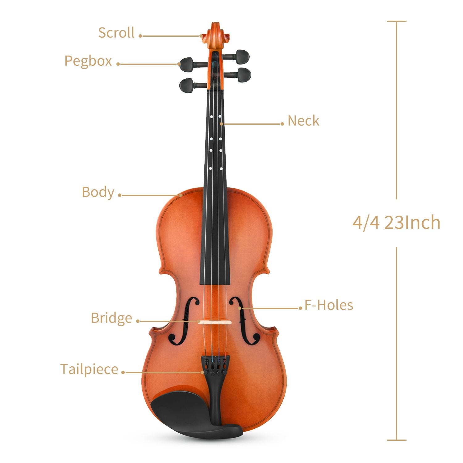 Eastar EVA-2 Violin Set for Beginners with Hard Case/Rosin/Shoulder Rest/Bow/Extra Strings 1/4,1/2,3/4,4/4-4/4##
