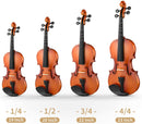 Eastar EVA-2 Violin Set for Beginners with Hard Case/Rosin/Shoulder Rest/Bow/Extra Strings 1/4,1/2,3/4,4/4