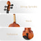 Eastar EVA-2 Violin Set for Beginners with Hard Case/Rosin/Shoulder Rest/Bow/Extra Strings 1/4,1/2,3/4,4/4