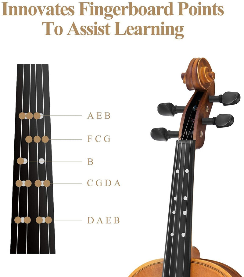 Eastar EVA-3 Full-Size Violin Set Matte Fiddle Full Kit with Case/Rosin/Shoulder Rest/Bow/Extra Strings for Kid/Beginner/Student/Adult 1/2,4/4