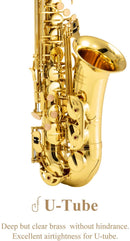 Eastar AS-Ⅱ Student Alto Saxophone E Flat Gold Lacquer Alto Beginner Sax Full Kit With Carrying Sax Case Mouthpiece Straps Reeds Stand