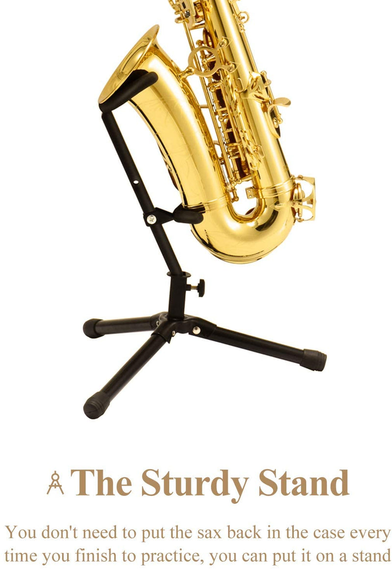 Eastar AS-Ⅱ Student Alto Saxophone E Flat Gold Lacquer Alto Beginner Sax Full Kit With Carrying Sax Case Mouthpiece Straps Reeds Stand