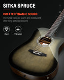 Donner Full Size Acoustic Electric Guitar with Amplifier 41 Inch for Beginner Intermediate